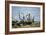 Trouville (France), Waiting for the Tide, Fishing Boats on the Beach, Decorated with French Flags,-Eugene Louis Boudin-Framed Giclee Print
