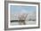 Trouville, The Jetties, High Tide, 1876-Eugene Louis Boudin-Framed Giclee Print