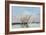 Trouville, The Jetties, High Tide, 1876-Eugene Louis Boudin-Framed Giclee Print