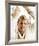 Troy Donahue-null-Framed Photo