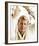 Troy Donahue-null-Framed Photo