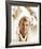 Troy Donahue-null-Framed Photo