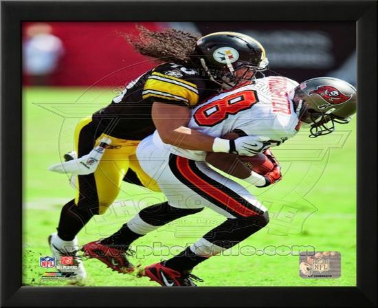 Troy Polamalu 2010 Action-null-Framed Photographic Print