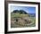 Troy Town Maze, St. Agnes, Isles of Scilly, United Kingdom-Adam Woolfitt-Framed Photographic Print