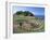 Troy Town Maze, St. Agnes, Isles of Scilly, United Kingdom-Adam Woolfitt-Framed Photographic Print
