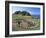 Troy Town Maze, St. Agnes, Isles of Scilly, United Kingdom-Adam Woolfitt-Framed Photographic Print