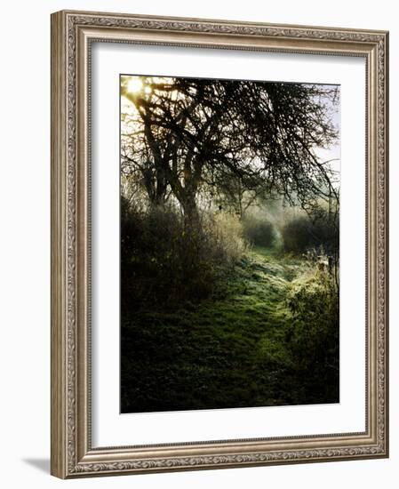 Truba-Tim Kahane-Framed Photographic Print