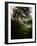 Truba-Tim Kahane-Framed Photographic Print