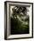 Truba-Tim Kahane-Framed Photographic Print