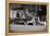 Truck Overload-Evan Morris Cohen-Framed Premier Image Canvas