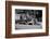 Truck Overload-Evan Morris Cohen-Framed Photographic Print