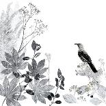 Thoughtful Wattlebird-Trudy Rice-Art Print