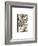 True 2-Susann Parker-Framed Photographic Print