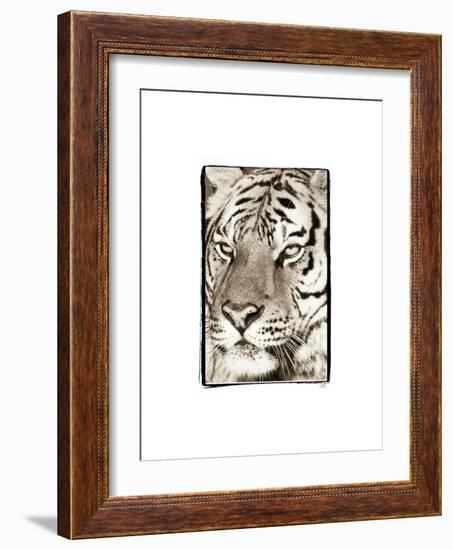 True 2-Susann Parker-Framed Photographic Print