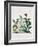 True Black Hellebore-Georg Dionysius Ehret-Framed Giclee Print