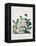 True Black Hellebore-Georg Dionysius Ehret-Framed Premier Image Canvas