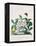 True Black Hellebore-Georg Dionysius Ehret-Framed Premier Image Canvas