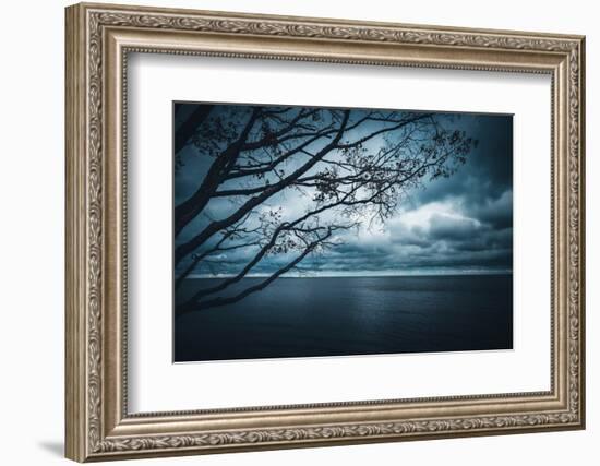 True Blue-Philippe Sainte-Laudy-Framed Photographic Print