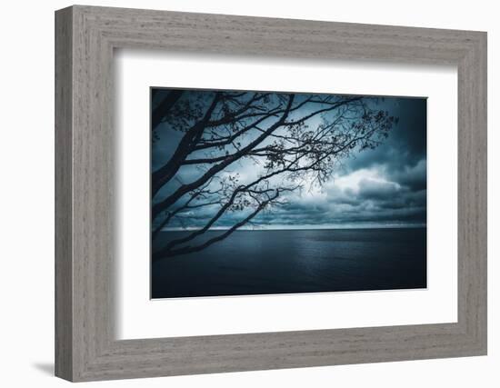 True Blue-Philippe Sainte-Laudy-Framed Photographic Print