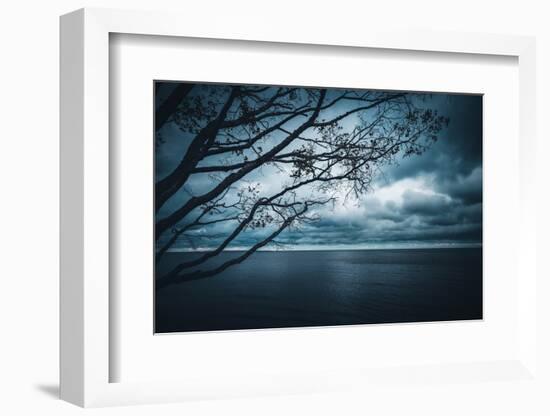 True Blue-Philippe Sainte-Laudy-Framed Photographic Print