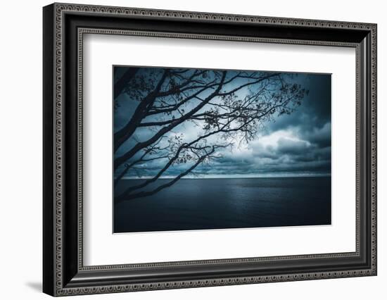 True Blue-Philippe Sainte-Laudy-Framed Photographic Print