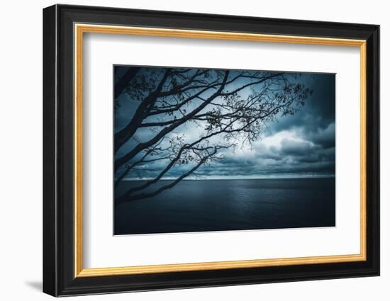 True Blue-Philippe Sainte-Laudy-Framed Photographic Print