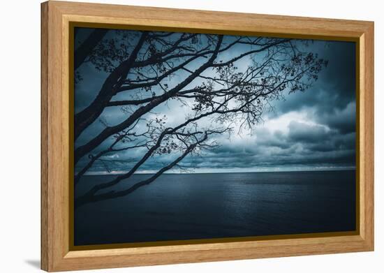 True Blue-Philippe Sainte-Laudy-Framed Premier Image Canvas