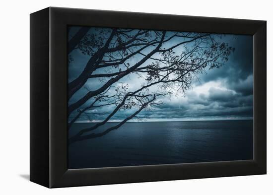 True Blue-Philippe Sainte-Laudy-Framed Premier Image Canvas