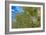 True-colour Satellite Image of Hamburg, Germany-PLANETOBSERVER-Framed Photographic Print