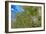 True-colour Satellite Image of Hamburg, Germany-PLANETOBSERVER-Framed Photographic Print