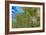 True-colour Satellite Image of Hamburg, Germany-PLANETOBSERVER-Framed Photographic Print