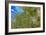 True-colour Satellite Image of Hamburg, Germany-PLANETOBSERVER-Framed Photographic Print