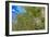 True-colour Satellite Image of Hamburg, Germany-PLANETOBSERVER-Framed Photographic Print