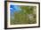 True-colour Satellite Image of Hamburg, Germany-PLANETOBSERVER-Framed Photographic Print