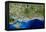 True-colour Satellite Image of Hampshire-PLANETOBSERVER-Framed Premier Image Canvas