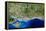 True-colour Satellite Image of Hampshire-PLANETOBSERVER-Framed Premier Image Canvas