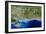 True-colour Satellite Image of Hampshire-PLANETOBSERVER-Framed Premium Photographic Print