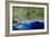 True-colour Satellite Image of Hampshire-PLANETOBSERVER-Framed Photographic Print