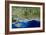 True-colour Satellite Image of Hampshire-PLANETOBSERVER-Framed Photographic Print