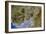 True-colour Satellite Image of Severn Estuary, UK-PLANETOBSERVER-Framed Photographic Print