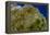 True-colour Satellite Image of Southeast Scotland-PLANETOBSERVER-Framed Premier Image Canvas