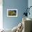 True-colour Satellite Image of Southeast Scotland-PLANETOBSERVER-Framed Photographic Print displayed on a wall