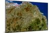 True-colour Satellite Image of Southeast Scotland-PLANETOBSERVER-Mounted Photographic Print