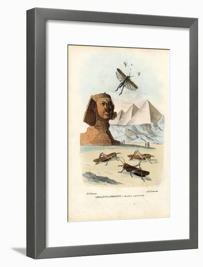 True Crickets, 1863-79-Raimundo Petraroja-Framed Giclee Print