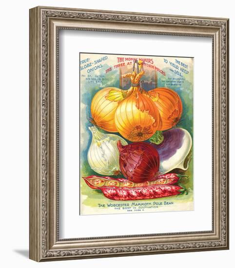 True Globe Shaped Onions-null-Framed Premium Giclee Print