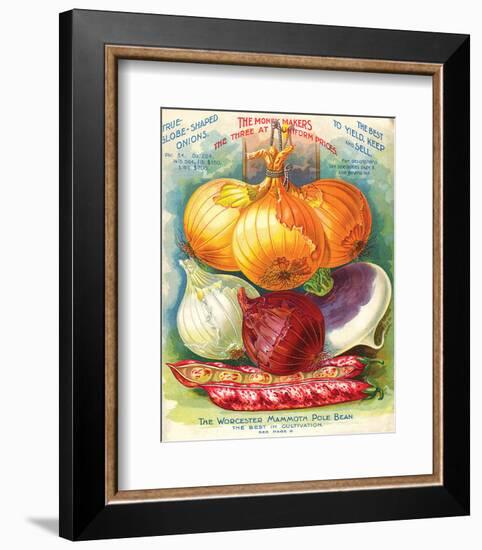 True Globe Shaped Onions-null-Framed Premium Giclee Print