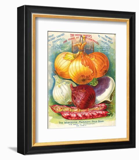 True Globe Shaped Onions-null-Framed Premium Giclee Print