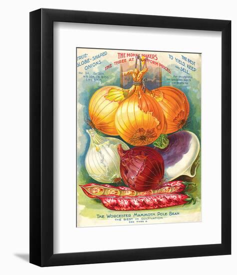 True Globe Shaped Onions-null-Framed Premium Giclee Print