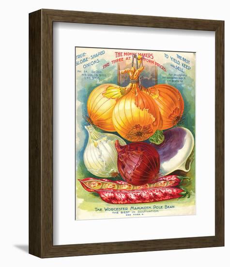 True Globe Shaped Onions-null-Framed Premium Giclee Print