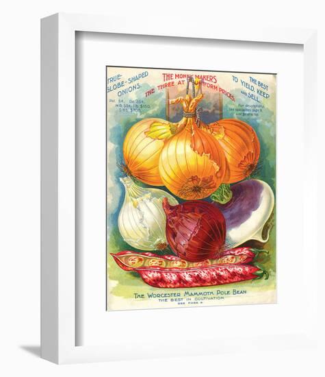 True Globe Shaped Onions-null-Framed Premium Giclee Print